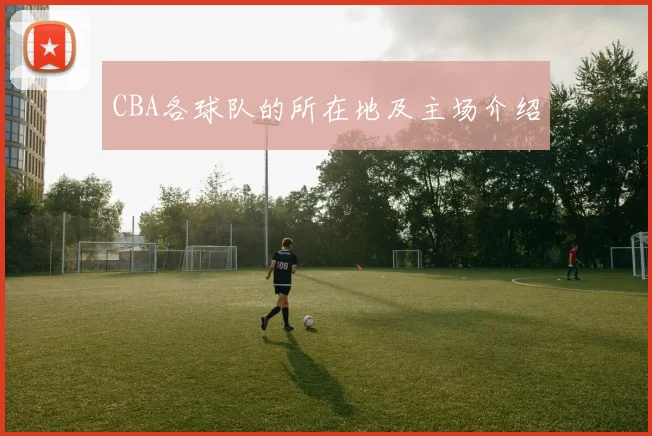 CBA各球队的所在地及主场介绍