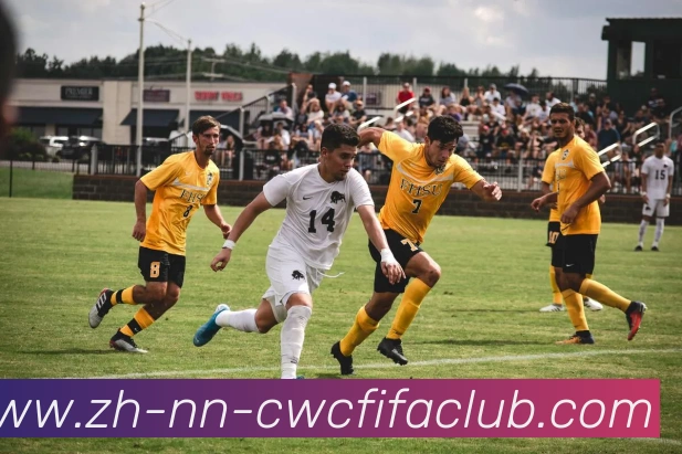 App Interface Preview