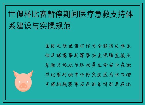 世俱杯比赛暂停期间医疗急救支持体系建设与实操规范